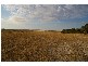 Lot 1 South Coast Road, Foul Bay SA 5577