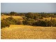 Lot 1 South Coast Road, Foul Bay SA 5577