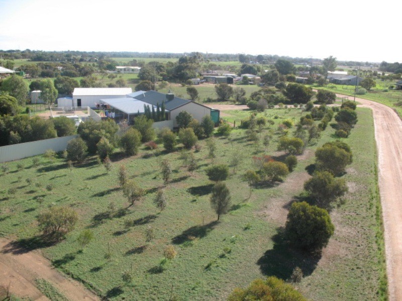Section 1517 Skinner Road, East Moonta SA 5558