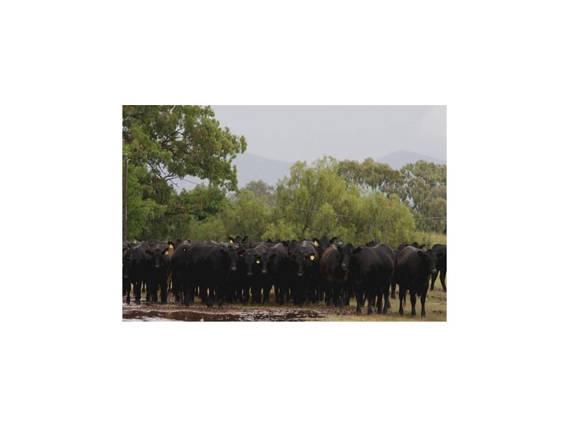 1 Glen Alpine, Werris Creek NSW 2341
