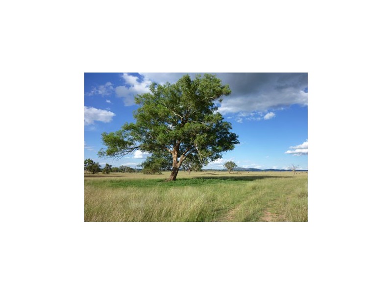 12686 Santa Fe, Tamworth NSW 2340