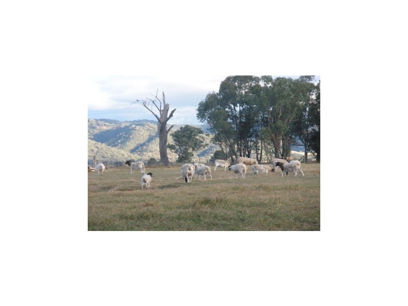 1 Edward Street, Moonbi NSW 2353