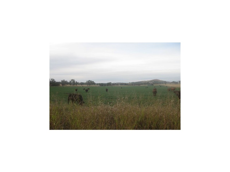 13408 New England Highway, Tamworth NSW 2340