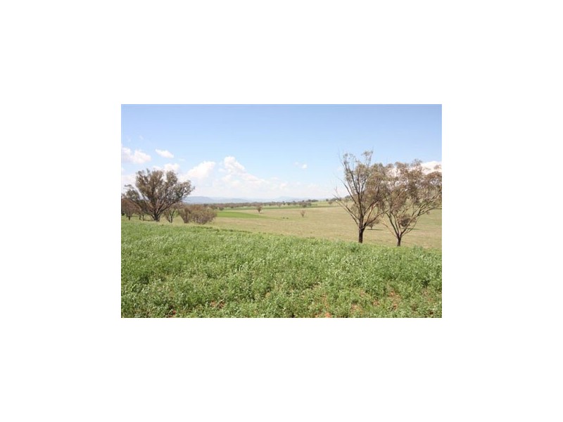 0 Part of Killain, Tamworth NSW 2340