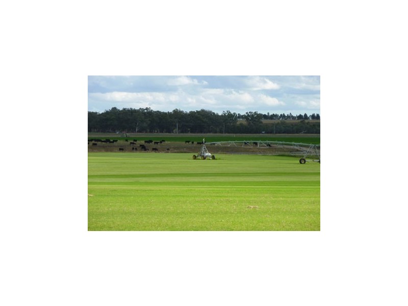 241 Loomberah Road, Tamworth NSW 2340