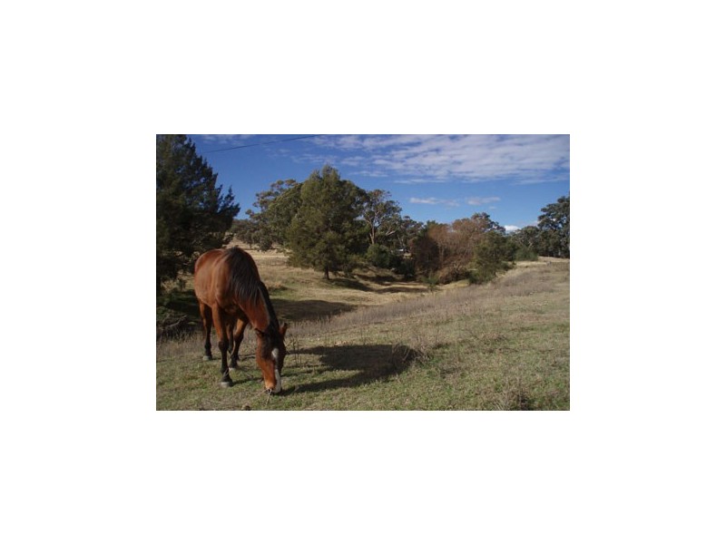 0 WYLANDRA, Currabubula NSW 2342