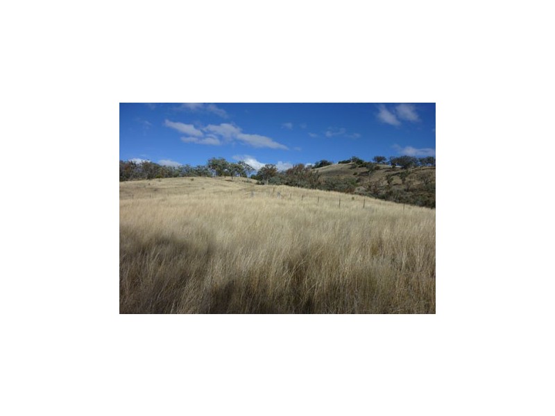 1 Wynaroy, Tamworth NSW 2340