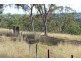 1 Wynaroy, Tamworth NSW 2340
