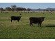 0 Woodlands, Tamworth NSW 2340