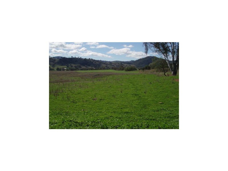 0 Belmont, Attunga NSW 2345