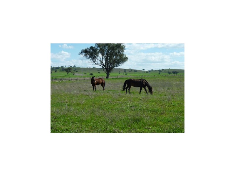 0 La Trinidad, Somerton NSW 2340