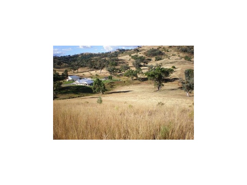 ‘ ILUKA, Tamworth NSW 2340