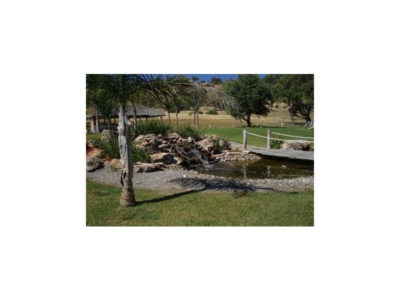 ‘ ILUKA, Tamworth NSW 2340