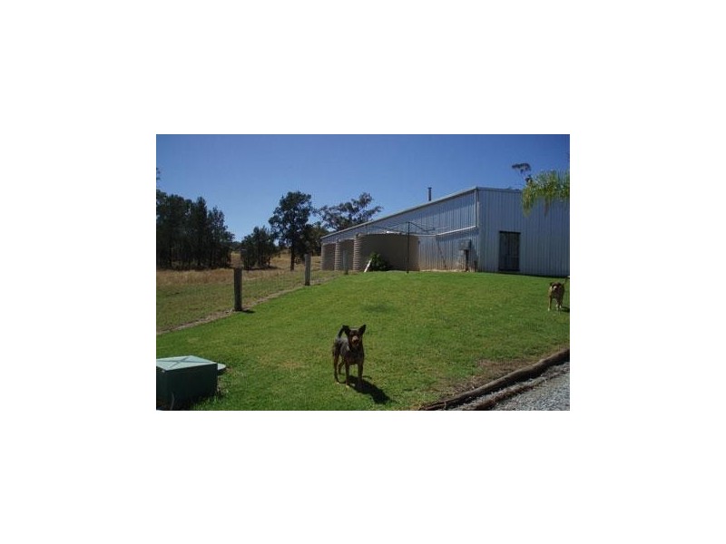 ‘ ILUKA, Tamworth NSW 2340