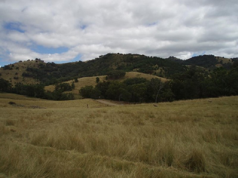 ‘ MARYVALE, Tamworth NSW 2340