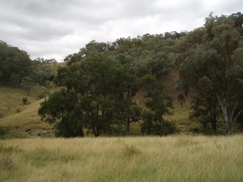‘ MARYVALE, Tamworth NSW 2340