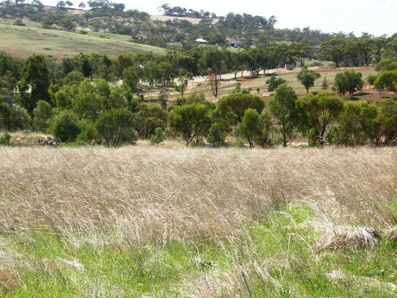 42  Ferguson Street, Toodyay WA 6566
