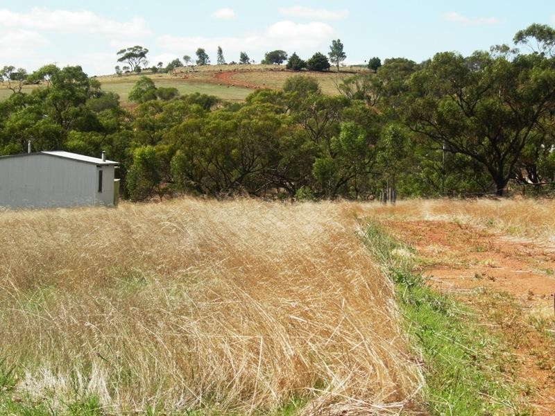 42  Ferguson Street, Toodyay WA 6566