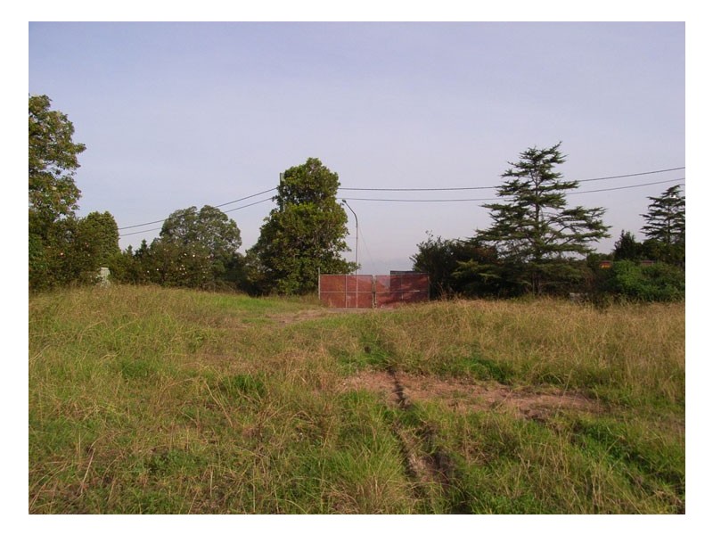 169 Pennant Hills Road, Carlingford NSW 2118