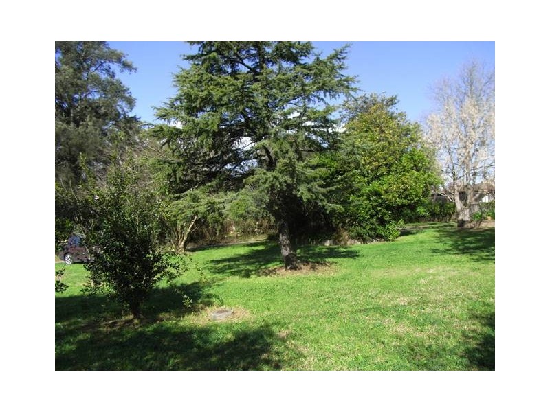 97 Showground Road, Castle Hill NSW 2154