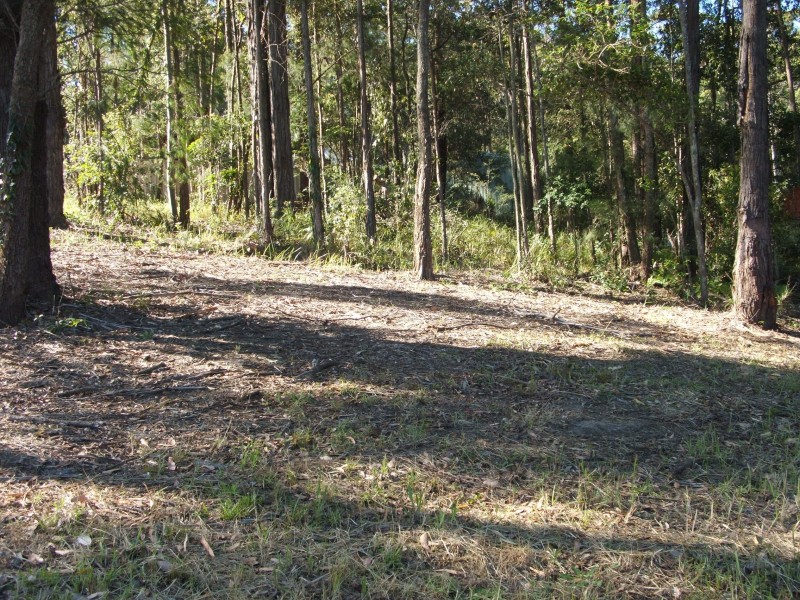 Lot 24 Cobbedah Driv e, Springfield NSW 2250