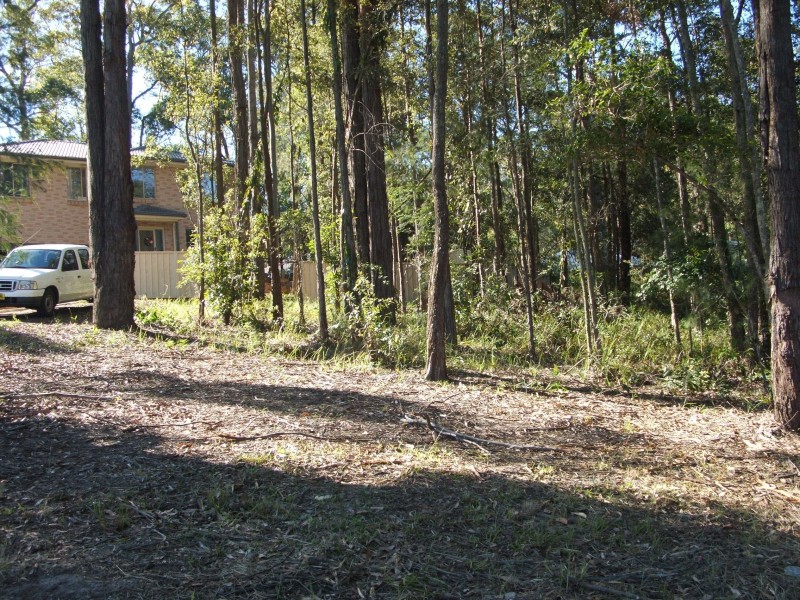 Lot 24 Cobbedah Driv e, Springfield NSW 2250