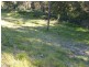 Springfield NSW 2250