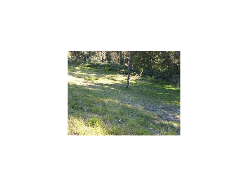 Springfield NSW 2250