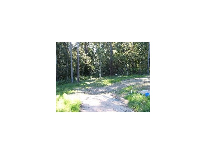 Springfield NSW 2250