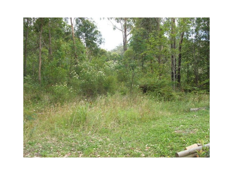 Springfield NSW 2250