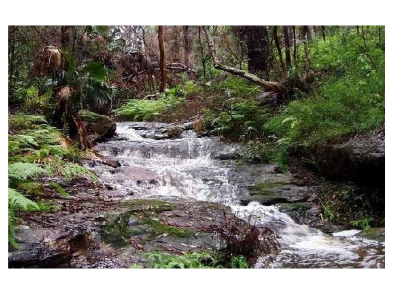 Horsfield Bay NSW 2256