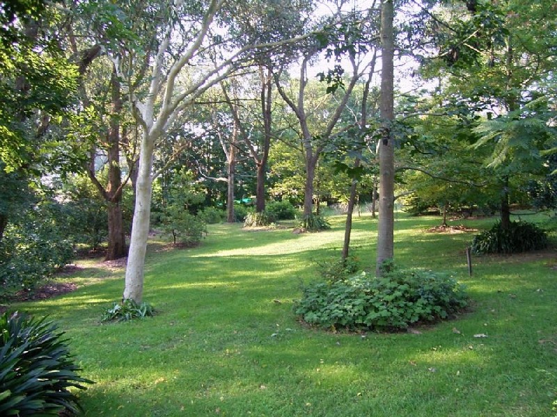 Central Mangrove NSW 2250