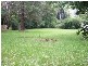 Niagara Park NSW 2250