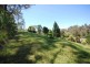 Ourimbah NSW 2258