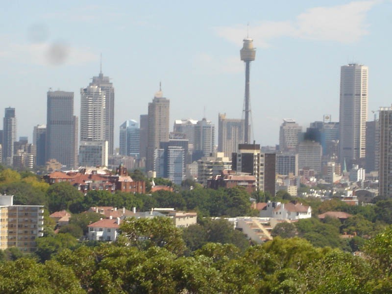 3/56 Bellevue Road, Bellevue Hill NSW 2023