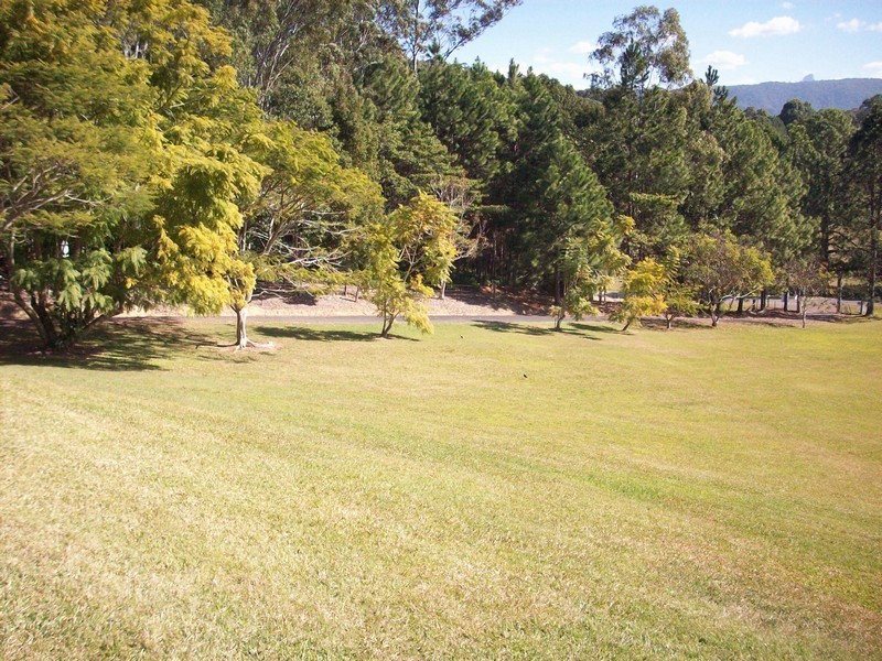 12 Minnows Road, Murwillumbah NSW 2484