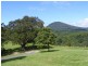 1904 Numinbah Road, Chillingham NSW 2484