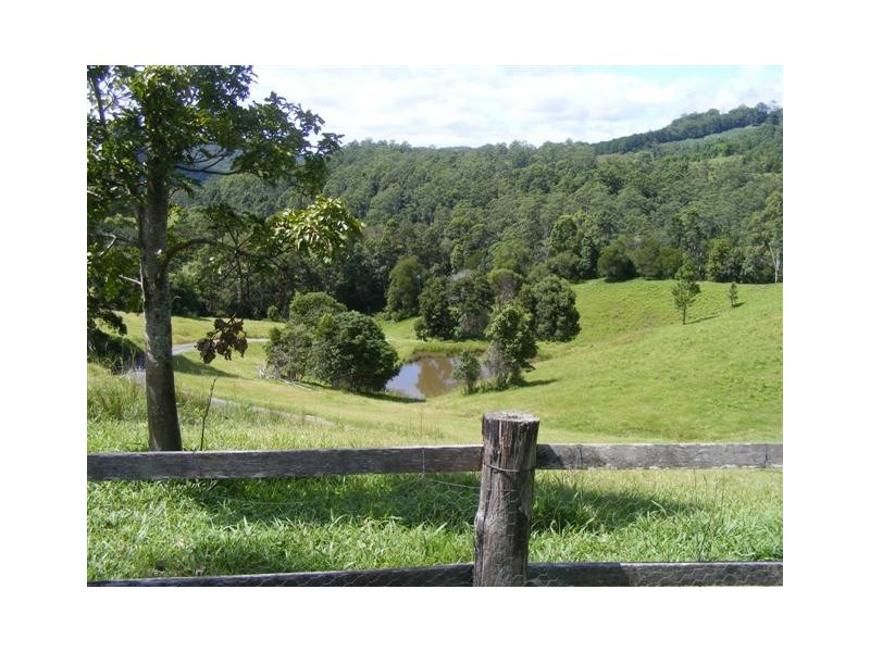 1904 Numinbah Road, Chillingham NSW 2484