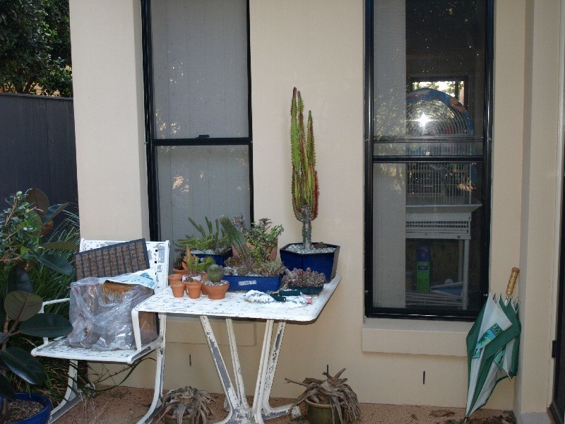 9/44-48 Elanora Avenue, Pottsville NSW 2489