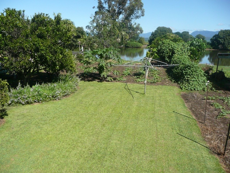 67 McLeod Street, Condong NSW 2484
