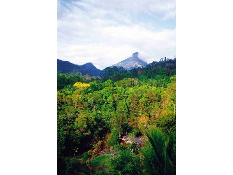 Murwillumbah NSW 2484