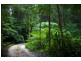 601 Smiths Creek Road, Uki NSW 2484