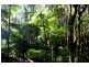 601 Smiths Creek Road, Uki NSW 2484