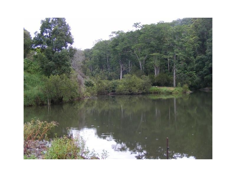 921 Tyalgum Road, Eungella NSW 2484