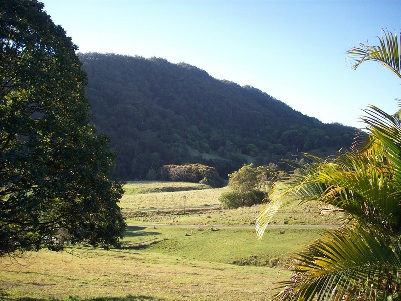 921 Tyalgum Road, Eungella NSW 2484