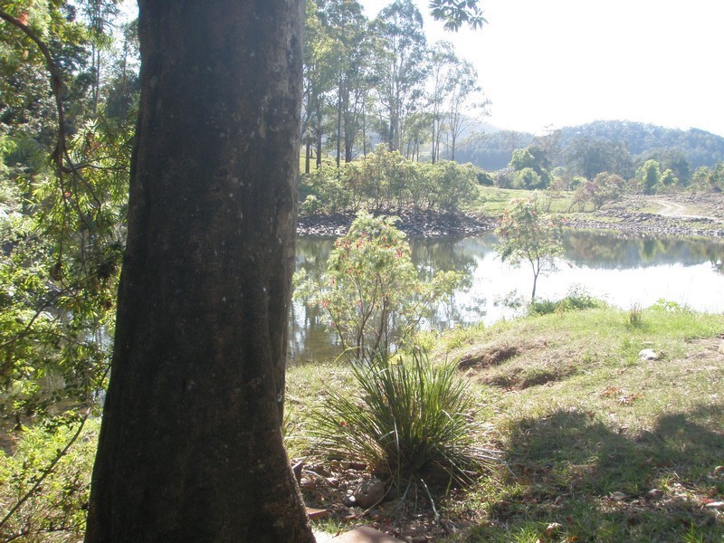 921 Tyalgum Road, Eungella NSW 2484