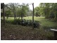 5 Ryans Road, Uki NSW 2484