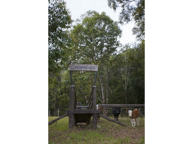 5 Ryans Road, Uki NSW 2484