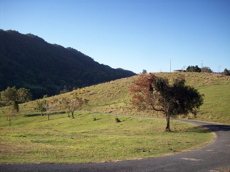 921 Tyalgum Road, Eungella NSW 2484