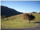 921 Tyalgum Road, Eungella NSW 2484